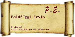 Palágyi Ervin névjegykártya